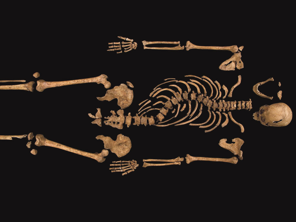 Kind Richard the Third, skeleton