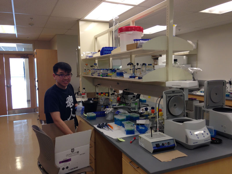Student 8 working in the lab