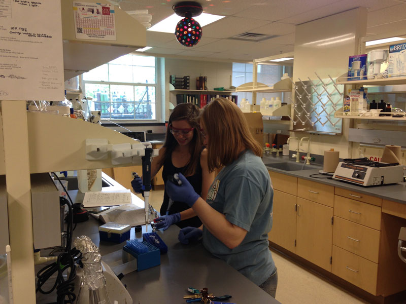 Student 7 working in the lab
