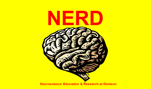 Neuroscience Education and Research at Denison Poster