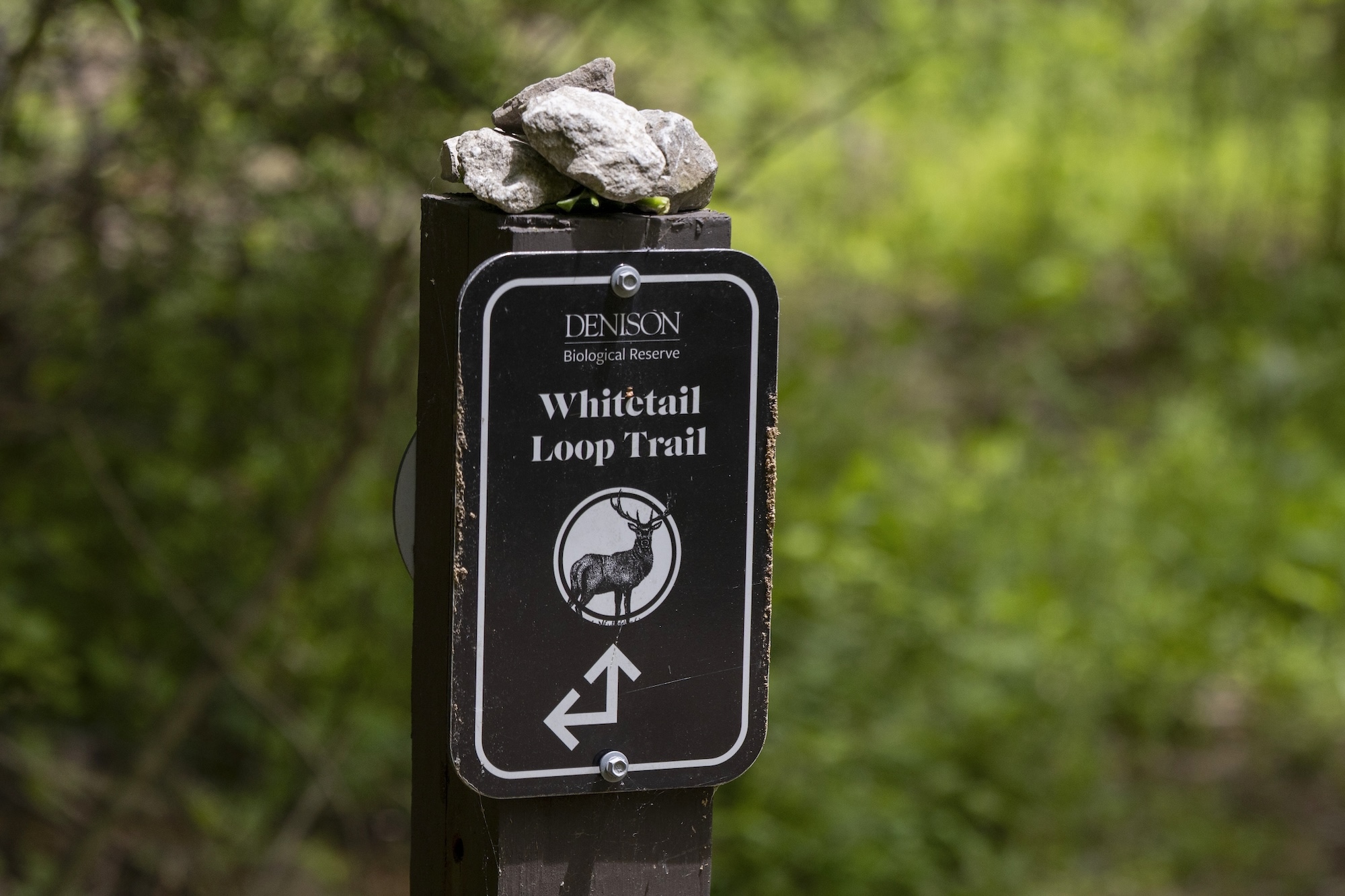 Bio Reserve trail marker