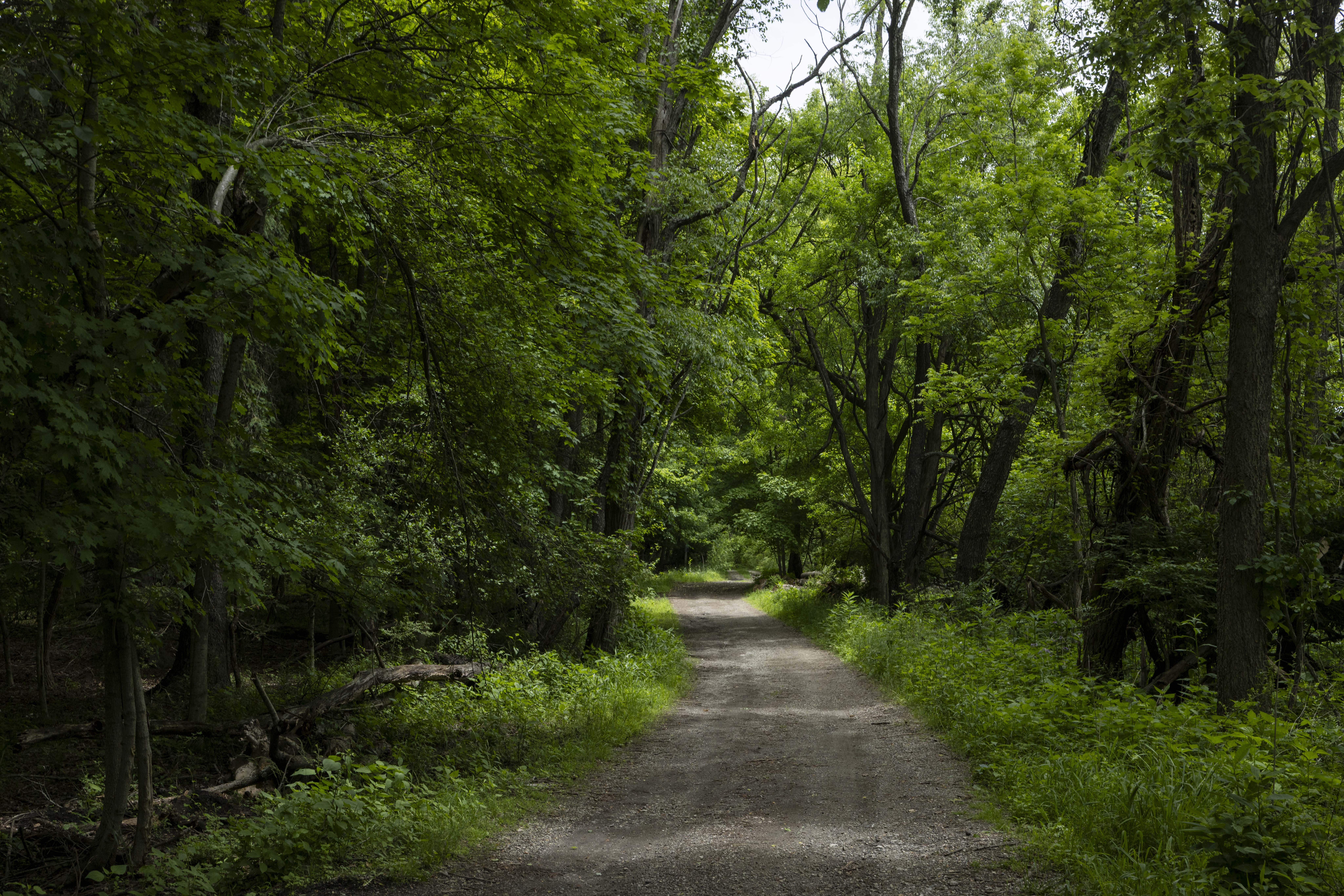 A trail at the Bio Reserve