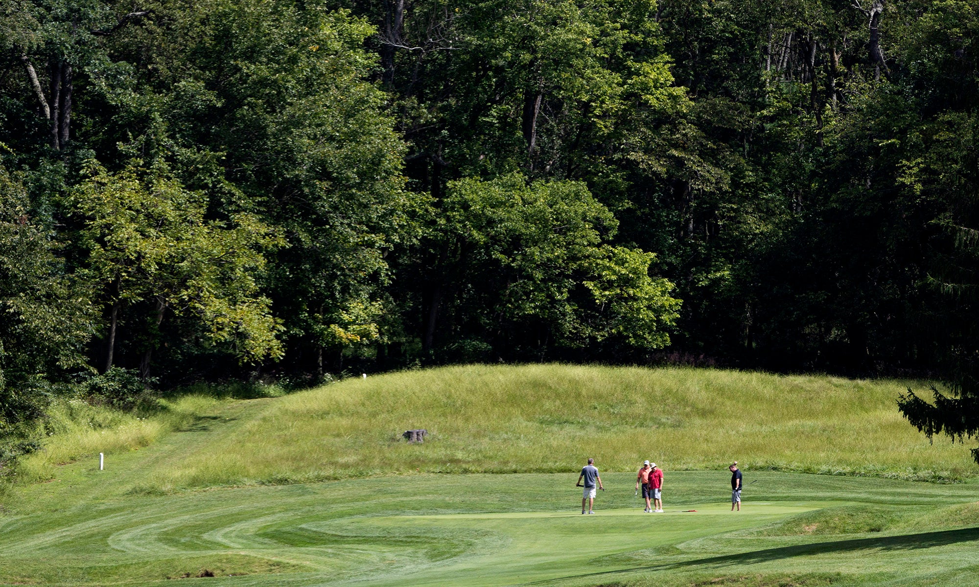 Three people stand on a grassy golf course surrounded by trees under a partly sunny sky.