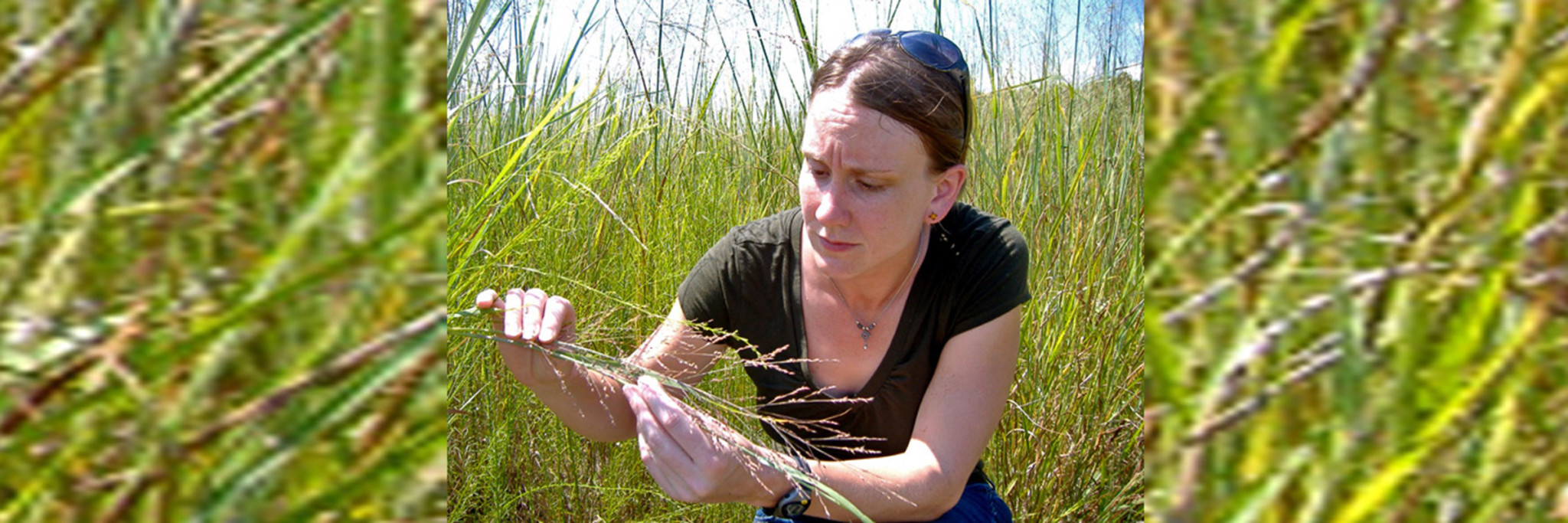 UnCommon Ground - Could Grass Save The World?