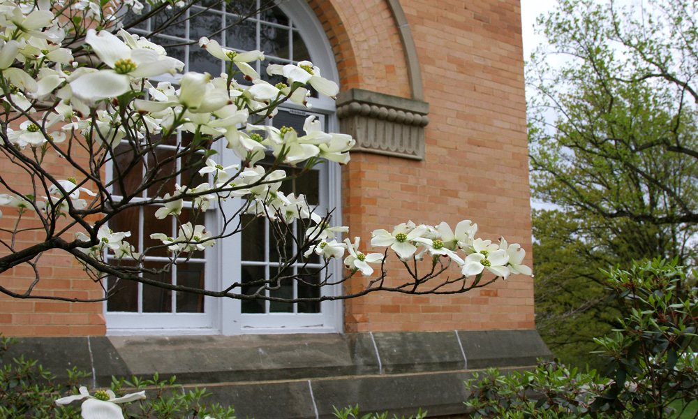Flowers in front of Doane Administration building