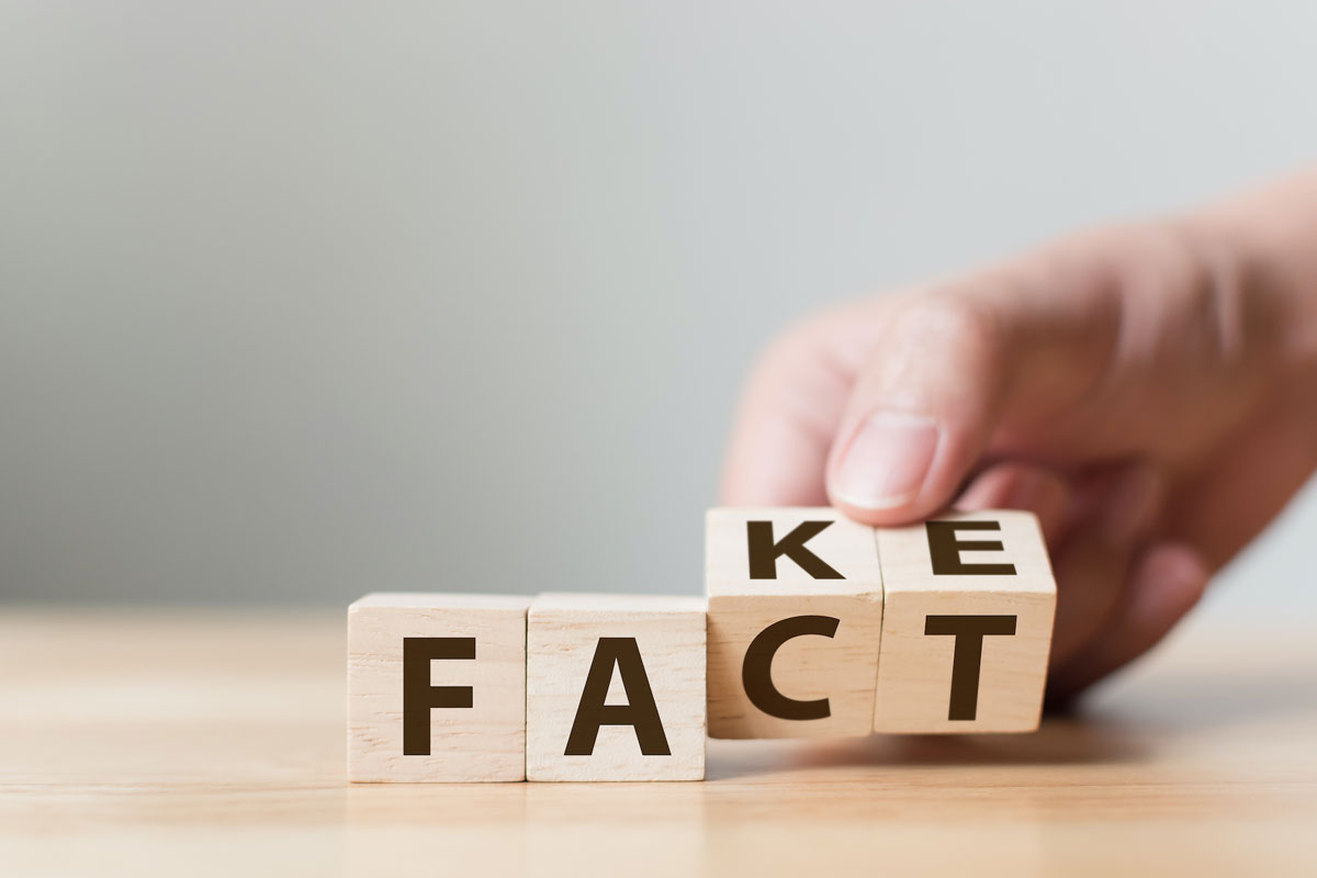 Fake/Fact blocks