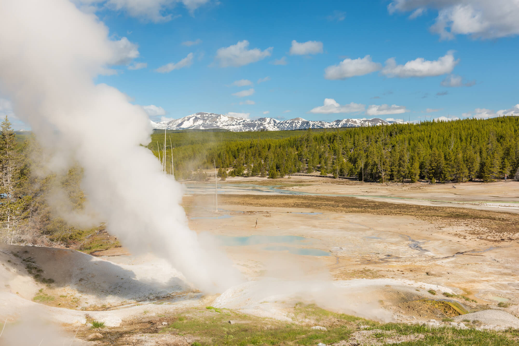 Yellowstone