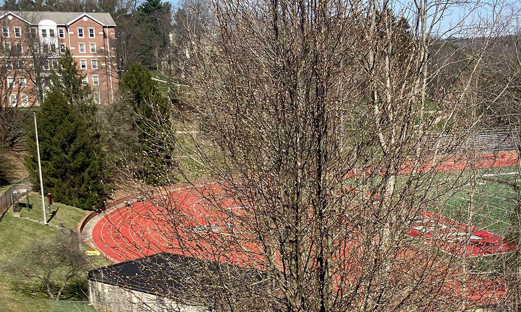 View of Denison's track 