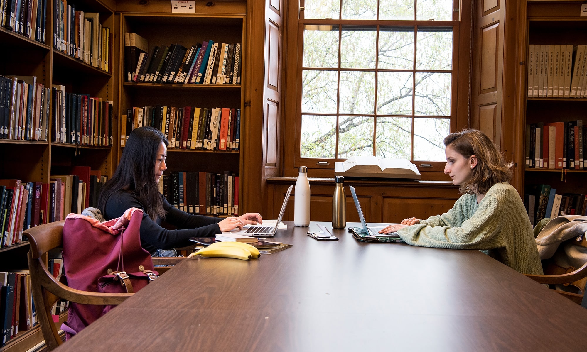 Students working in the library