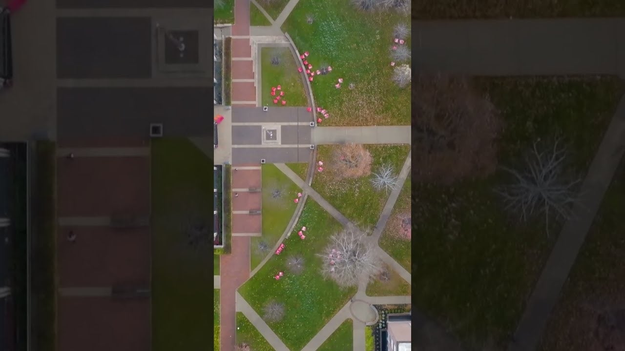 Video thumbnail: dEVwr9srTrI