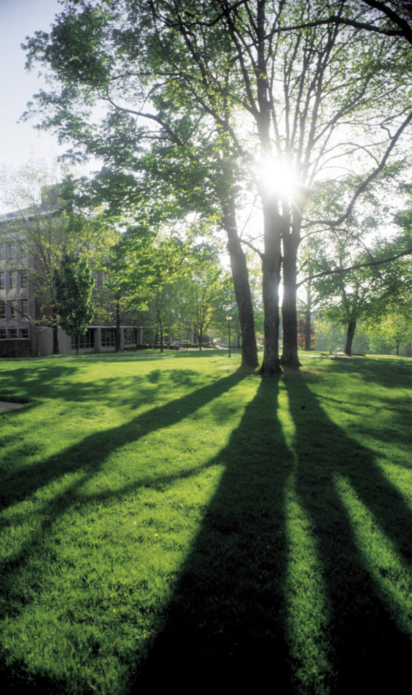 denison academic quad