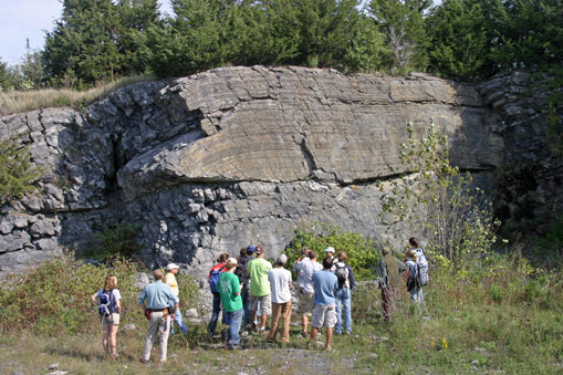 Folded Ordovician carbonates near Lake Champlain