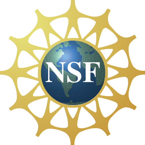 nsf logo main