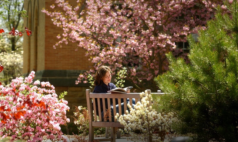 Student reading on the academic quad
