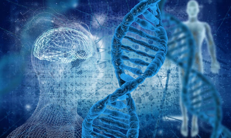 stock image human dna