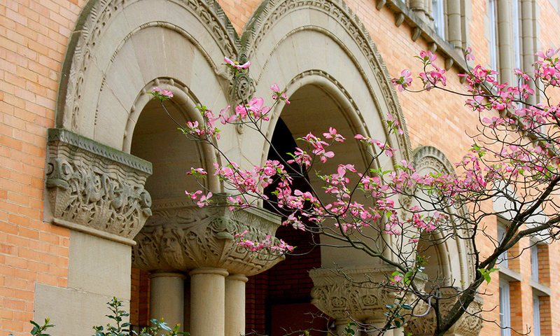 Arches on the front of Doane