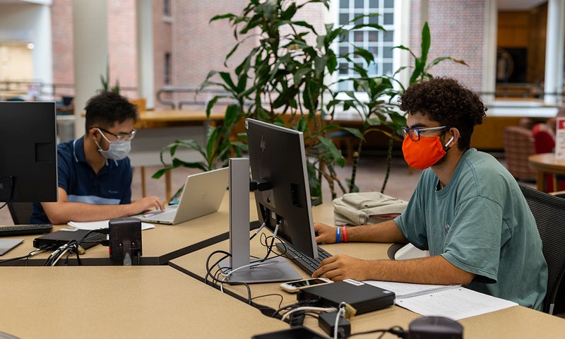 Students in the library
