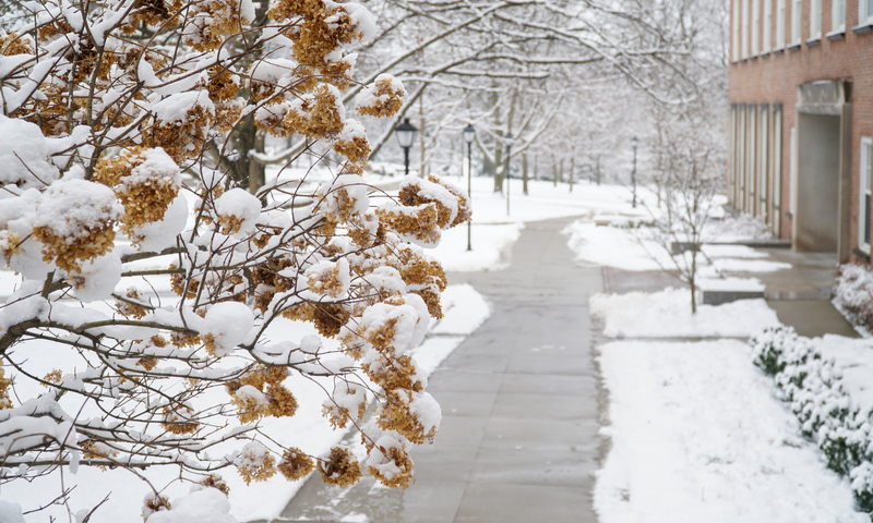 Snowy sidewalk view