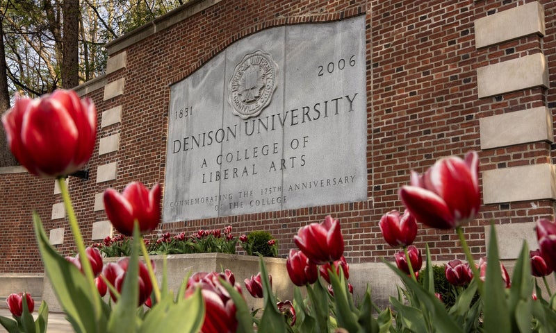 Red tulips bloom in front of a large stone sign for Denison University, a college of liberal arts, mounted on a brick wall.