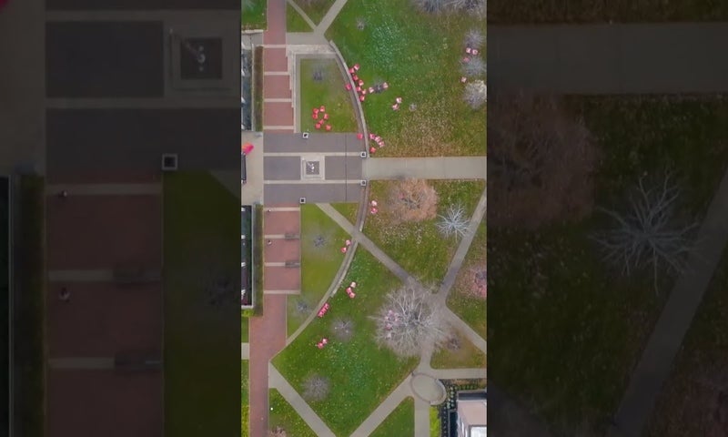 Video thumbnail: dEVwr9srTrI