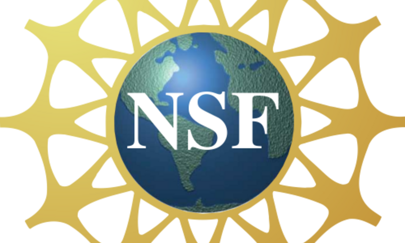 nsf logo main