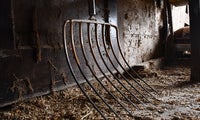 pitchfork in barn