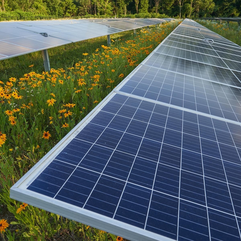 Photo of Denison solar panel in a field of wildflowers.