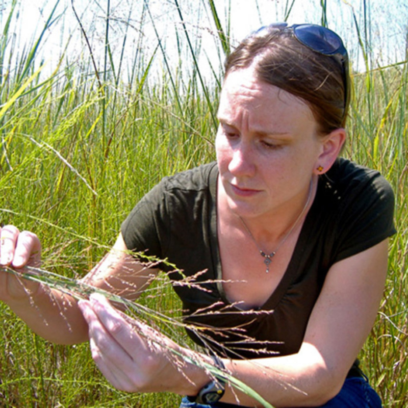 UnCommon Ground - Could Grass Save The World?