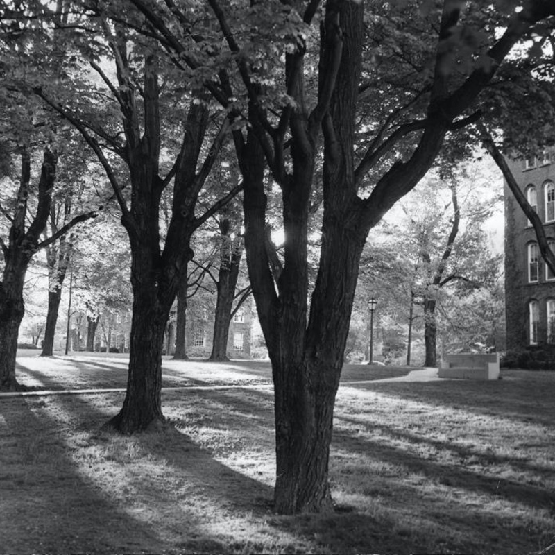 Black and white photo of campus