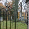 College Cemetery Image