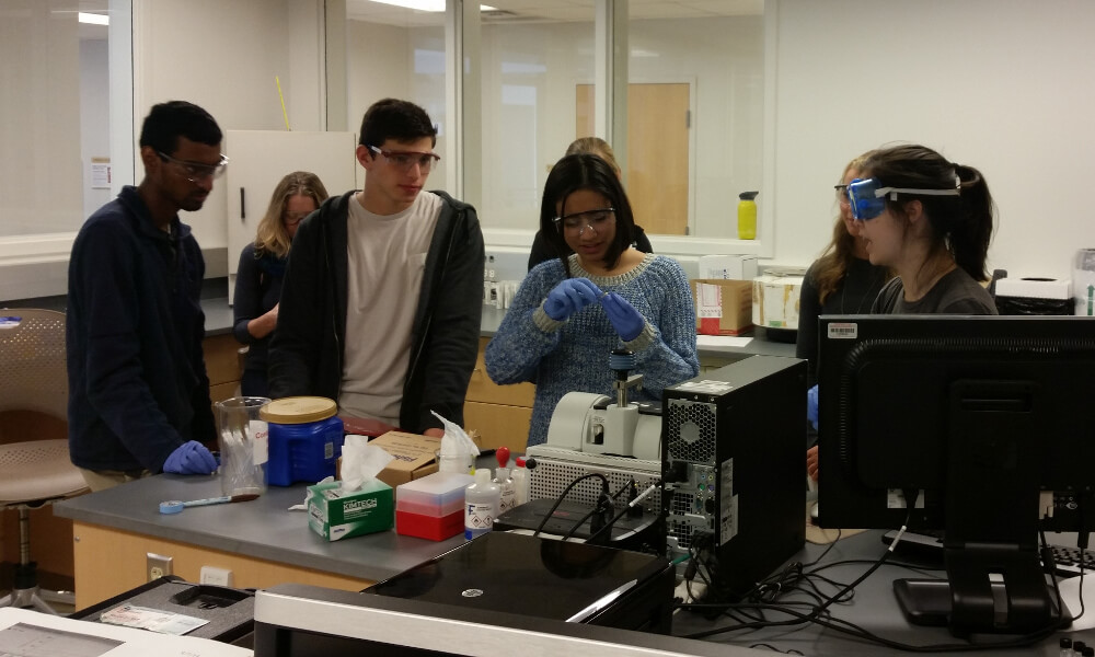 students in lab