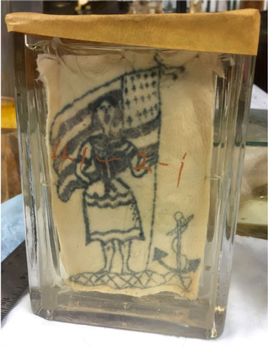 Example of tattoo on preserved skin