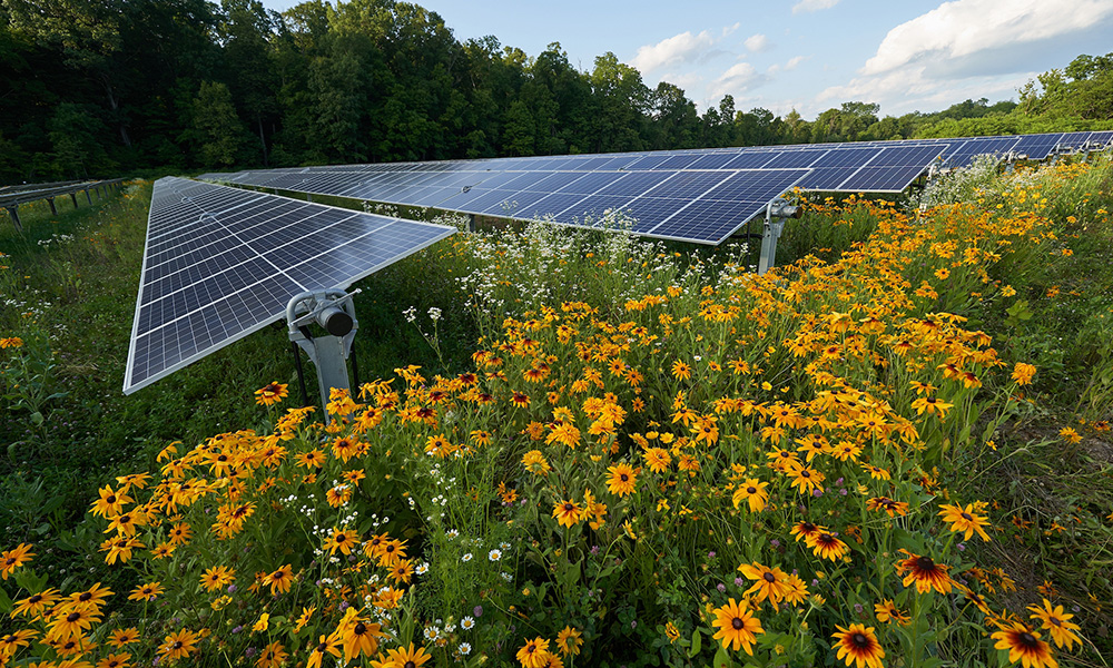 Solar Panels