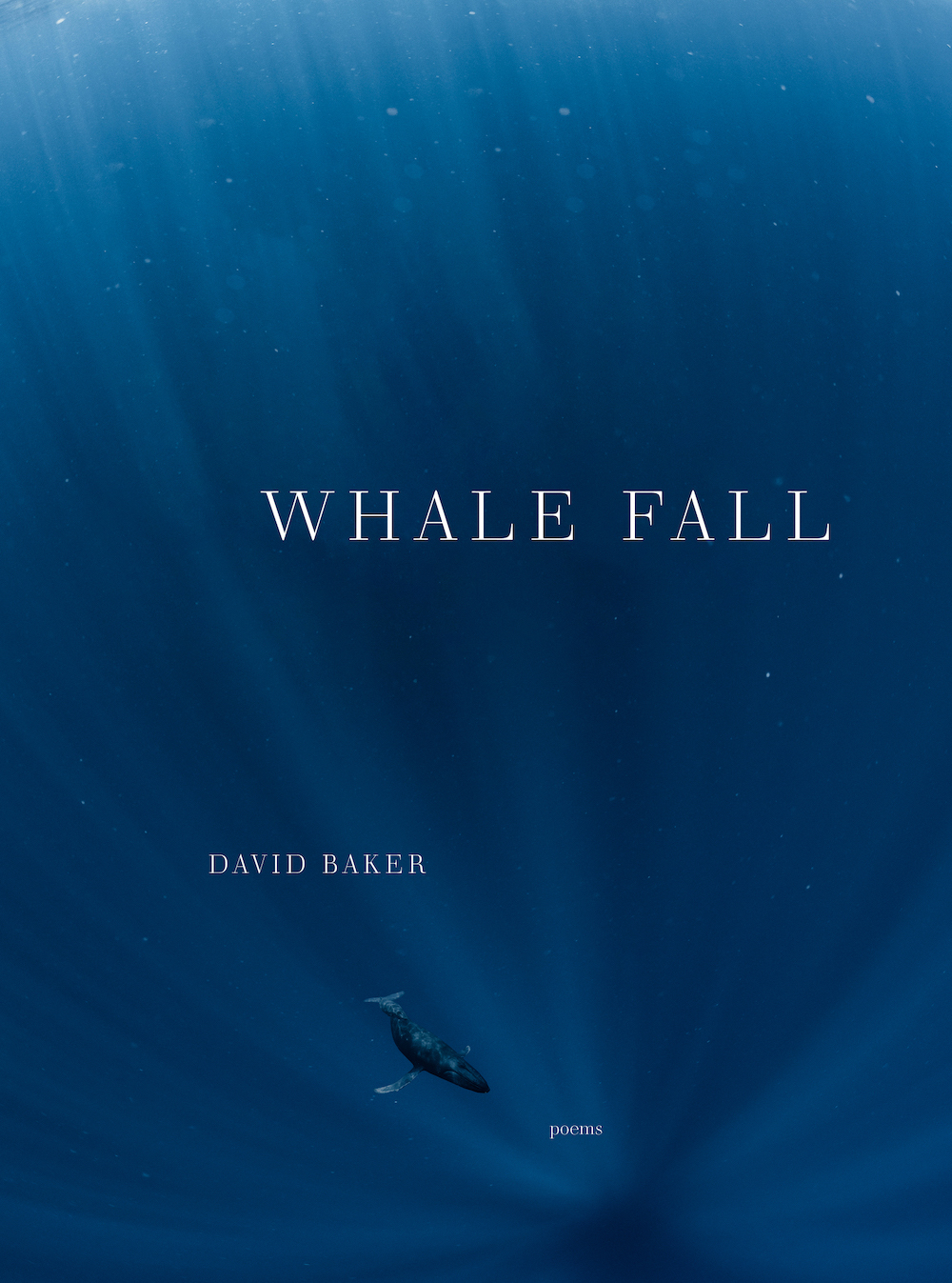 What Fall cover image