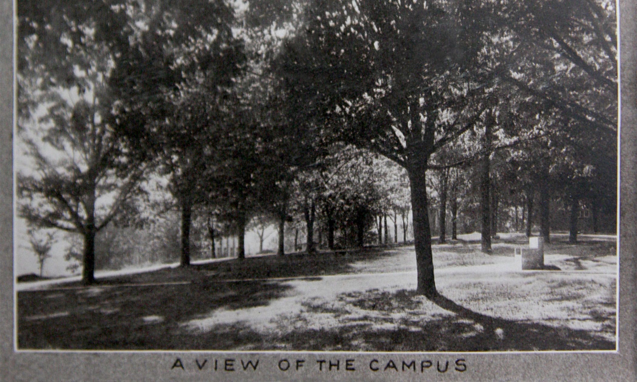 A-quad in 1928