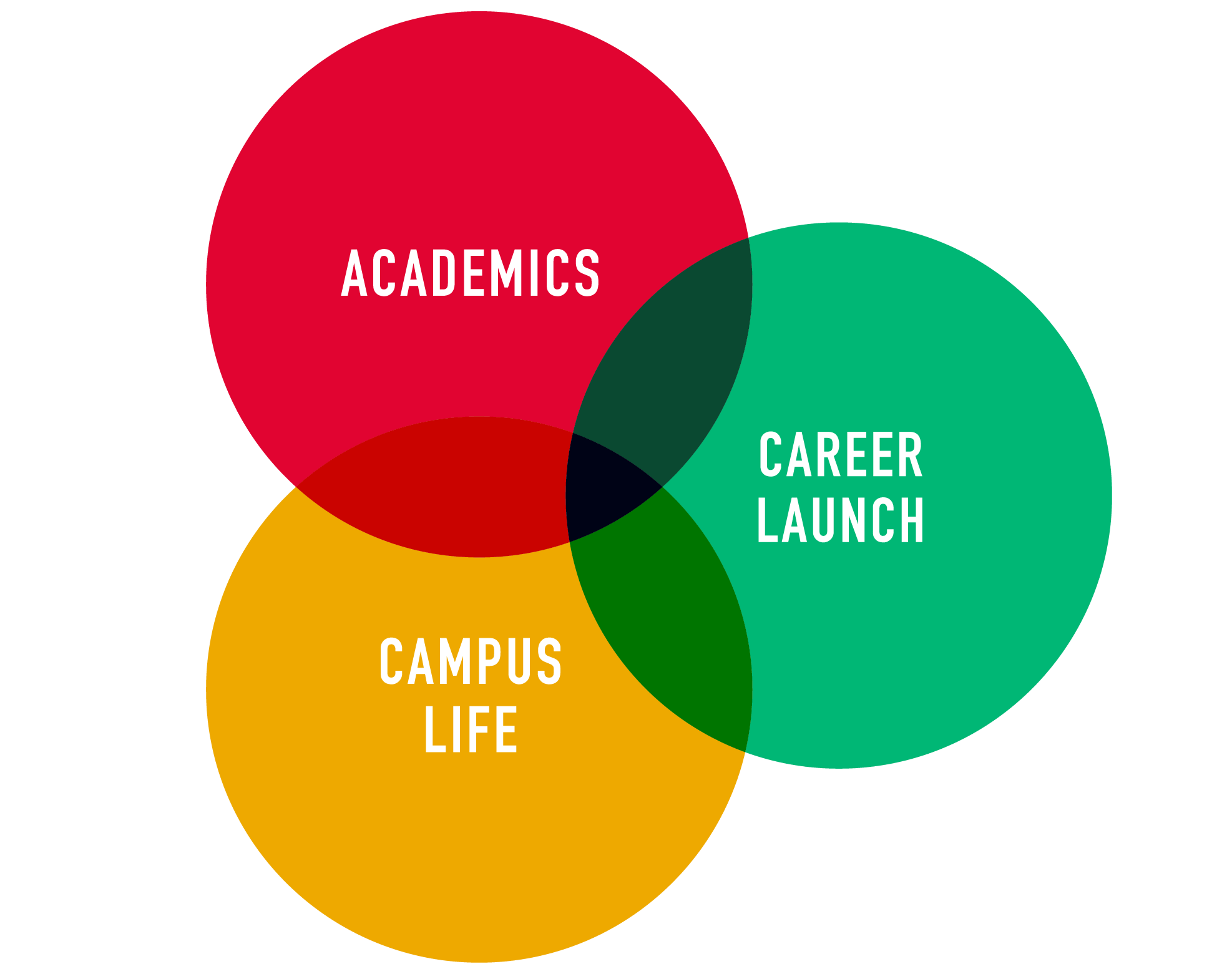 The Denison Advantage graphic