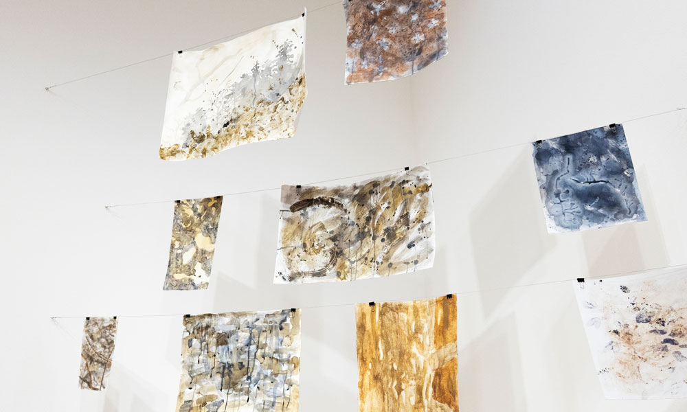 Senior art gallery