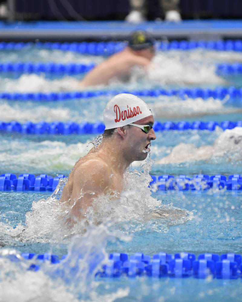 Denison swimmers in the pool.