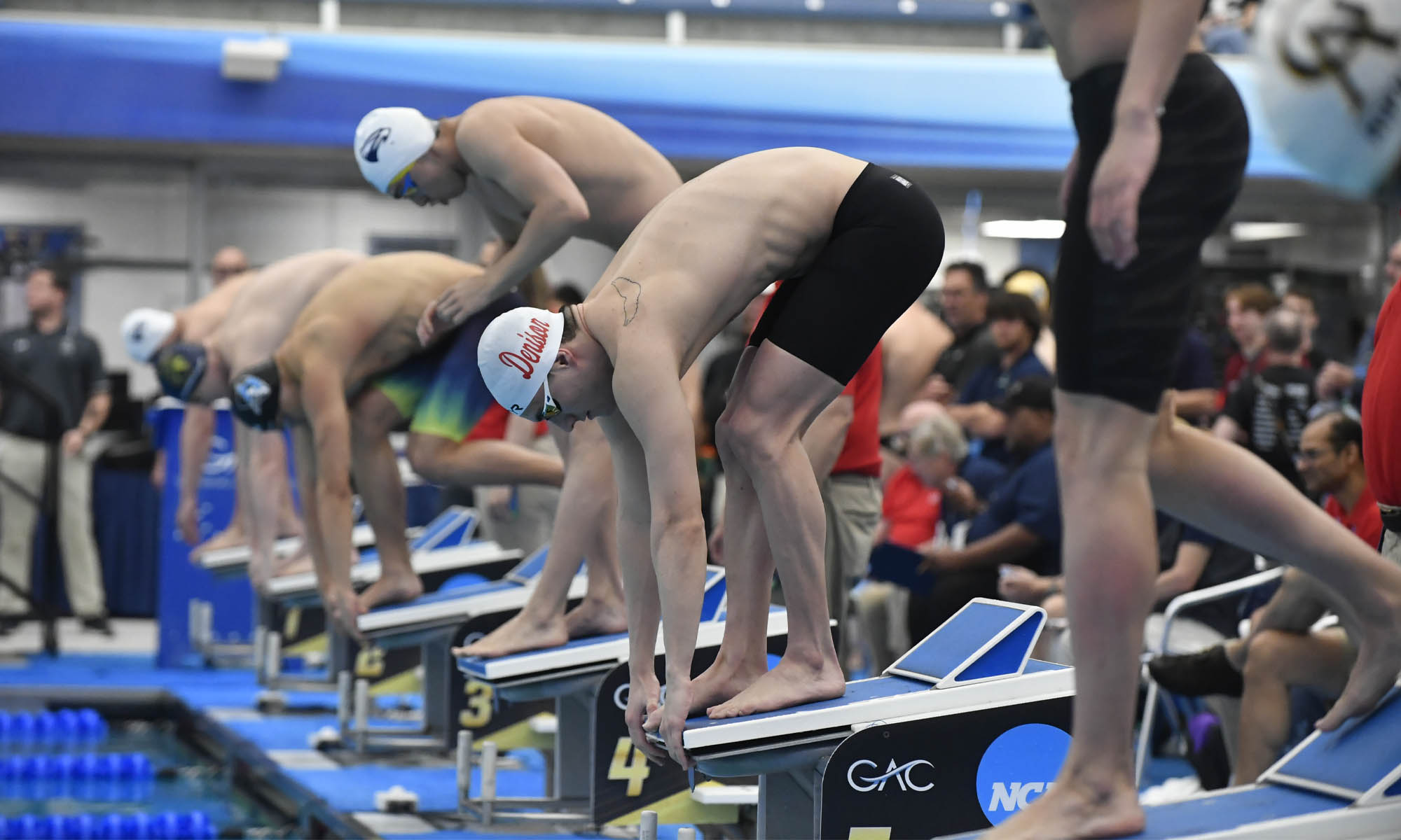 Denison swimmers on the starting block.