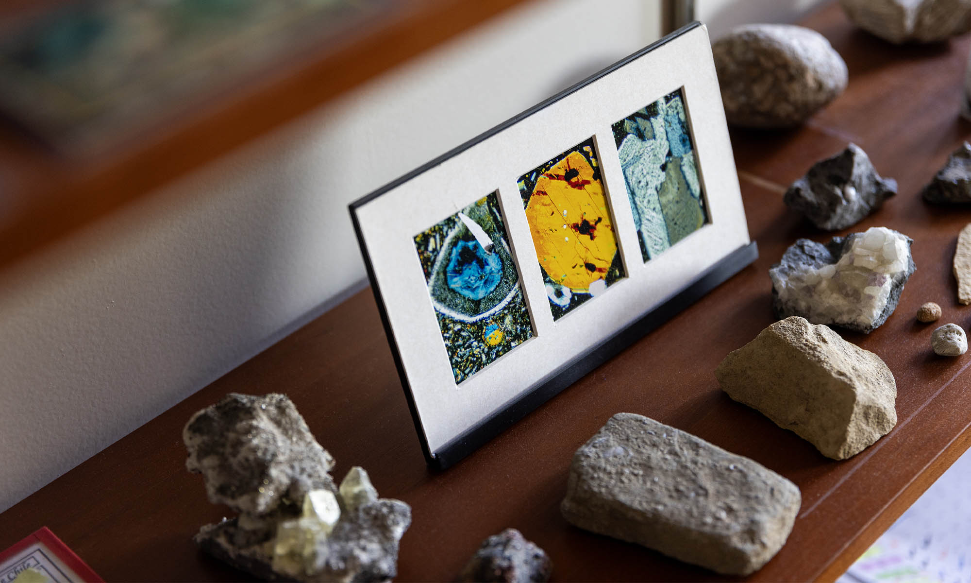 A shelf displaying various types of rocks and gems.